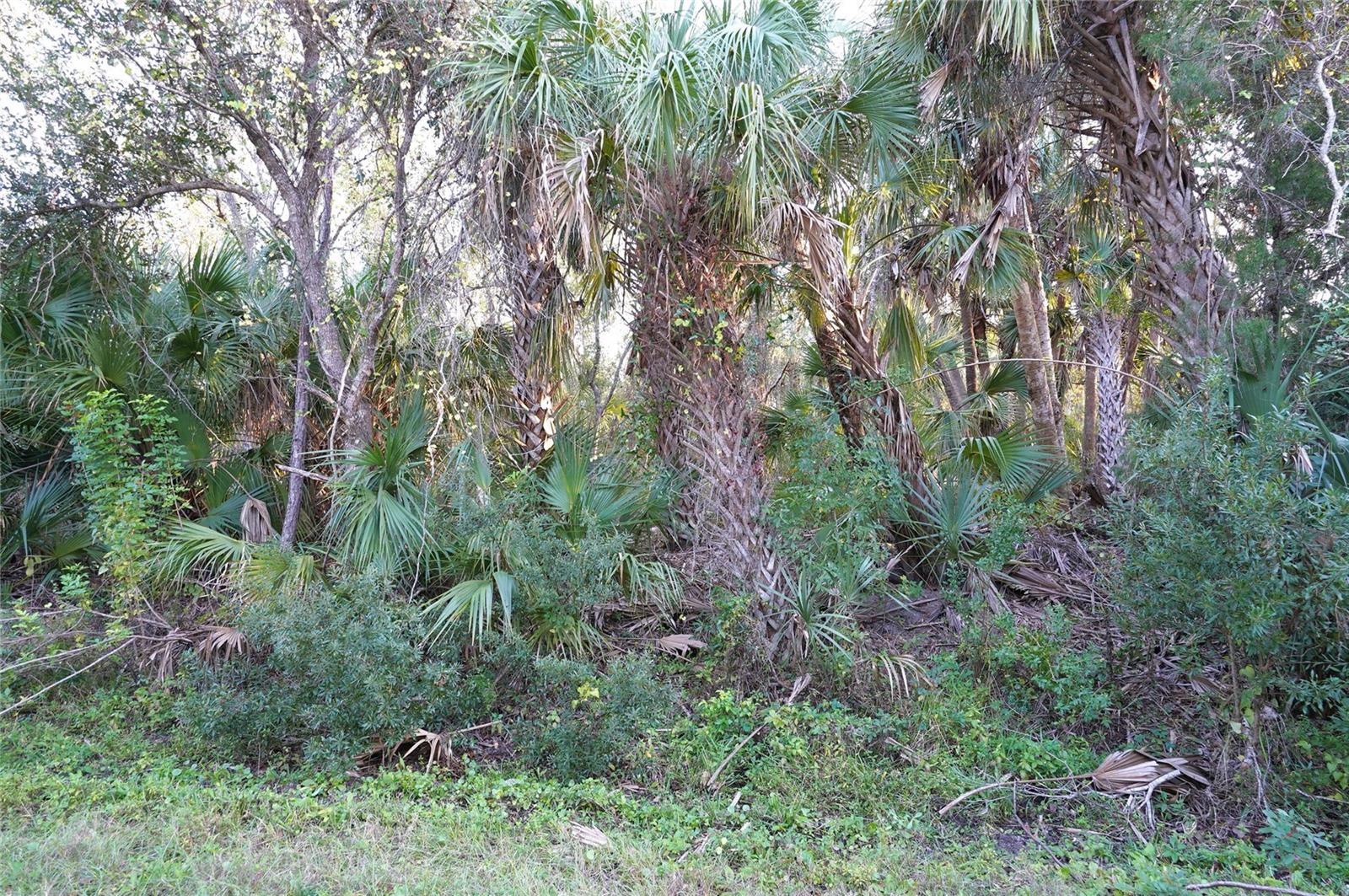 Details for 14299 Cannell Lane, PORT CHARLOTTE, FL 33953