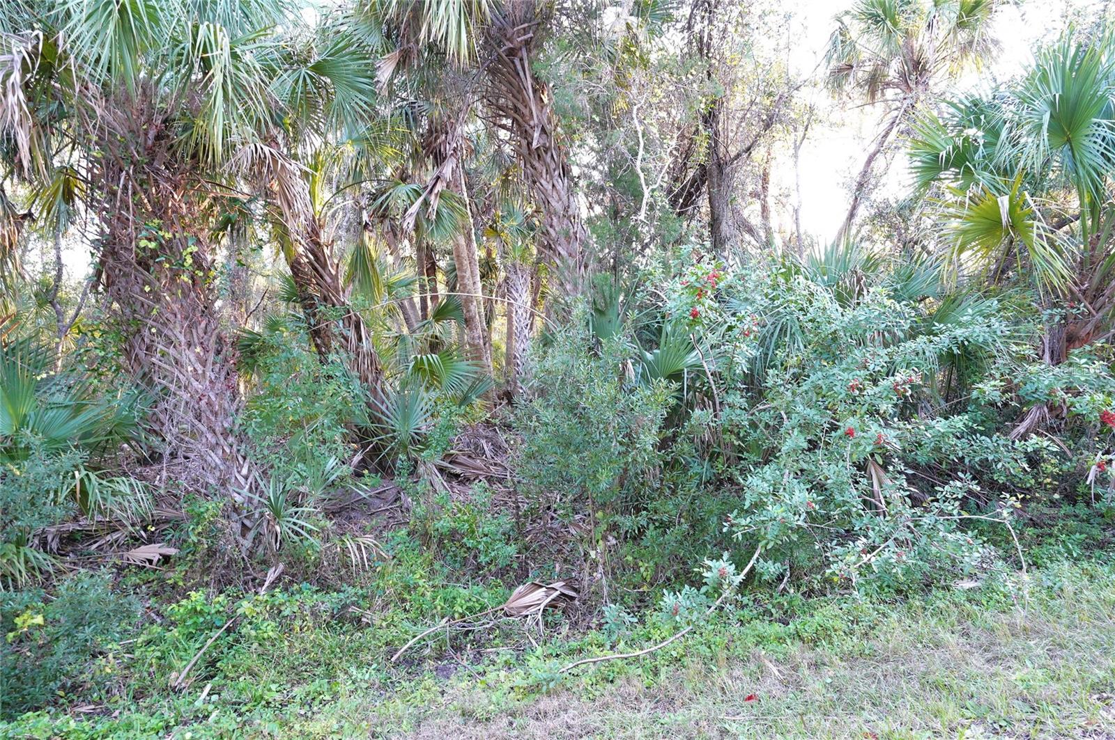 Image 2 of 26 For 14299 Cannell Lane