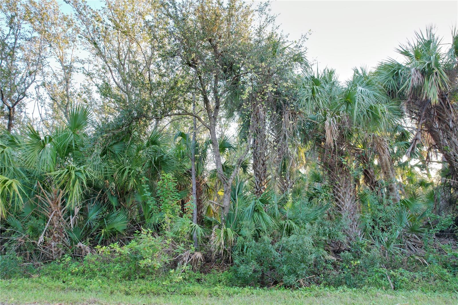 Image 3 of 26 For 14299 Cannell Lane