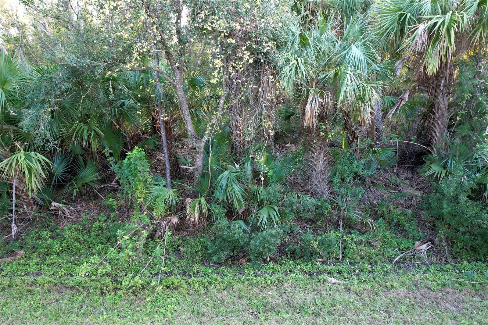 Image 4 of 26 For 14299 Cannell Lane