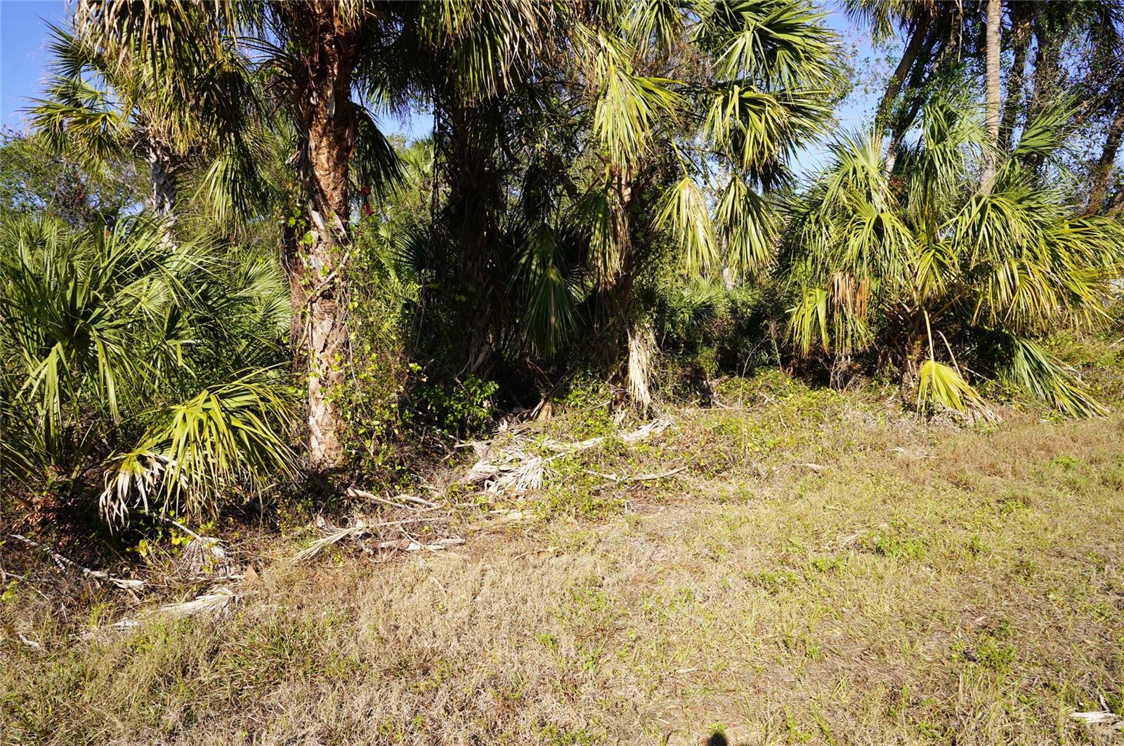 Details for 16150 Arcaro Avenue, PORT CHARLOTTE, FL 33954