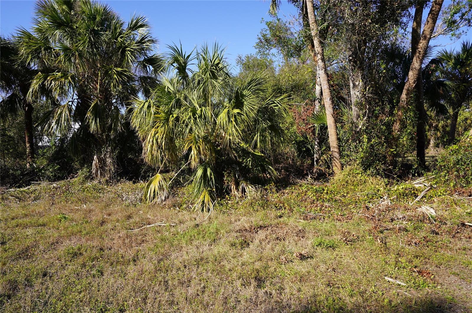Image 2 of 27 For 16150 Arcaro Avenue