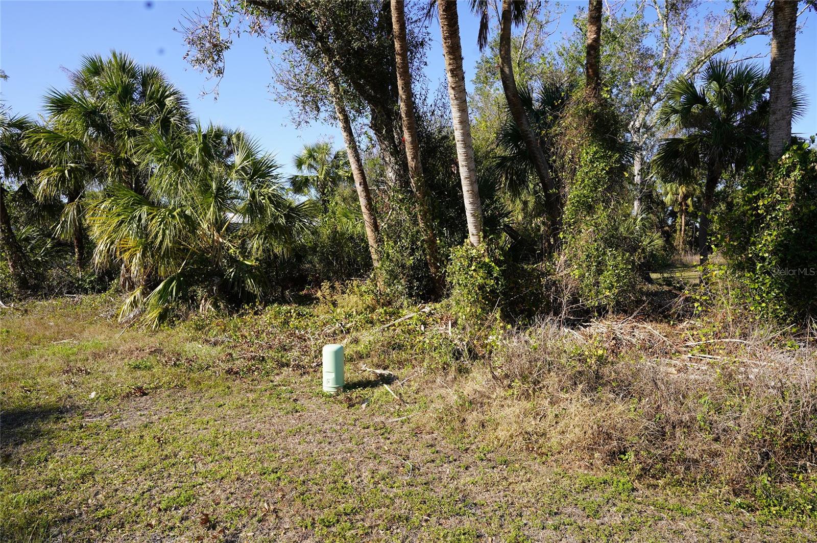 Image 3 of 27 For 16150 Arcaro Avenue