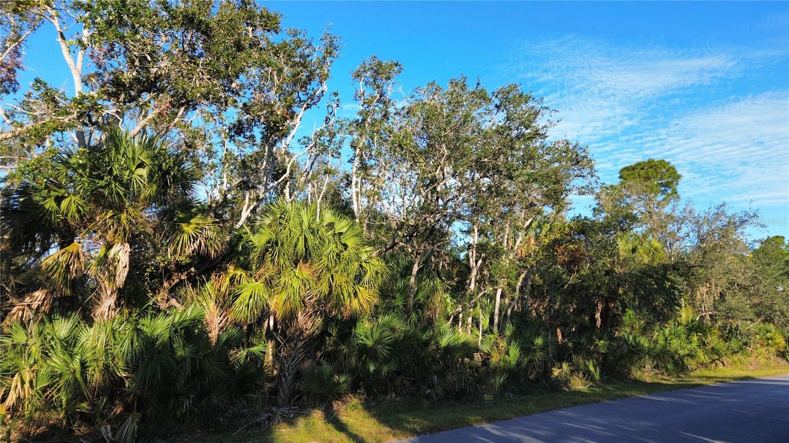 Details for 14314 Shagbark Avenue, PORT CHARLOTTE, FL 33953
