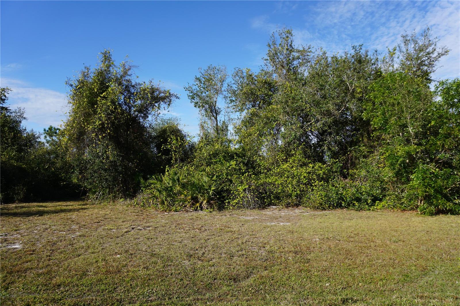 Image 8 of 35 For 323 Hiram Street