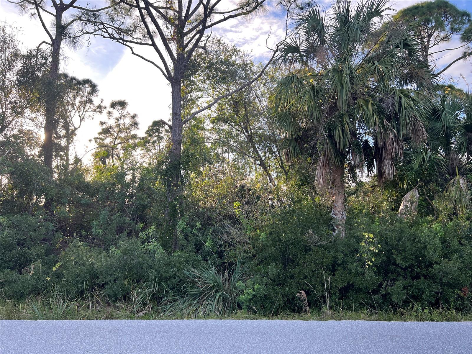 Image 3 of 14 For Address Not Provided
