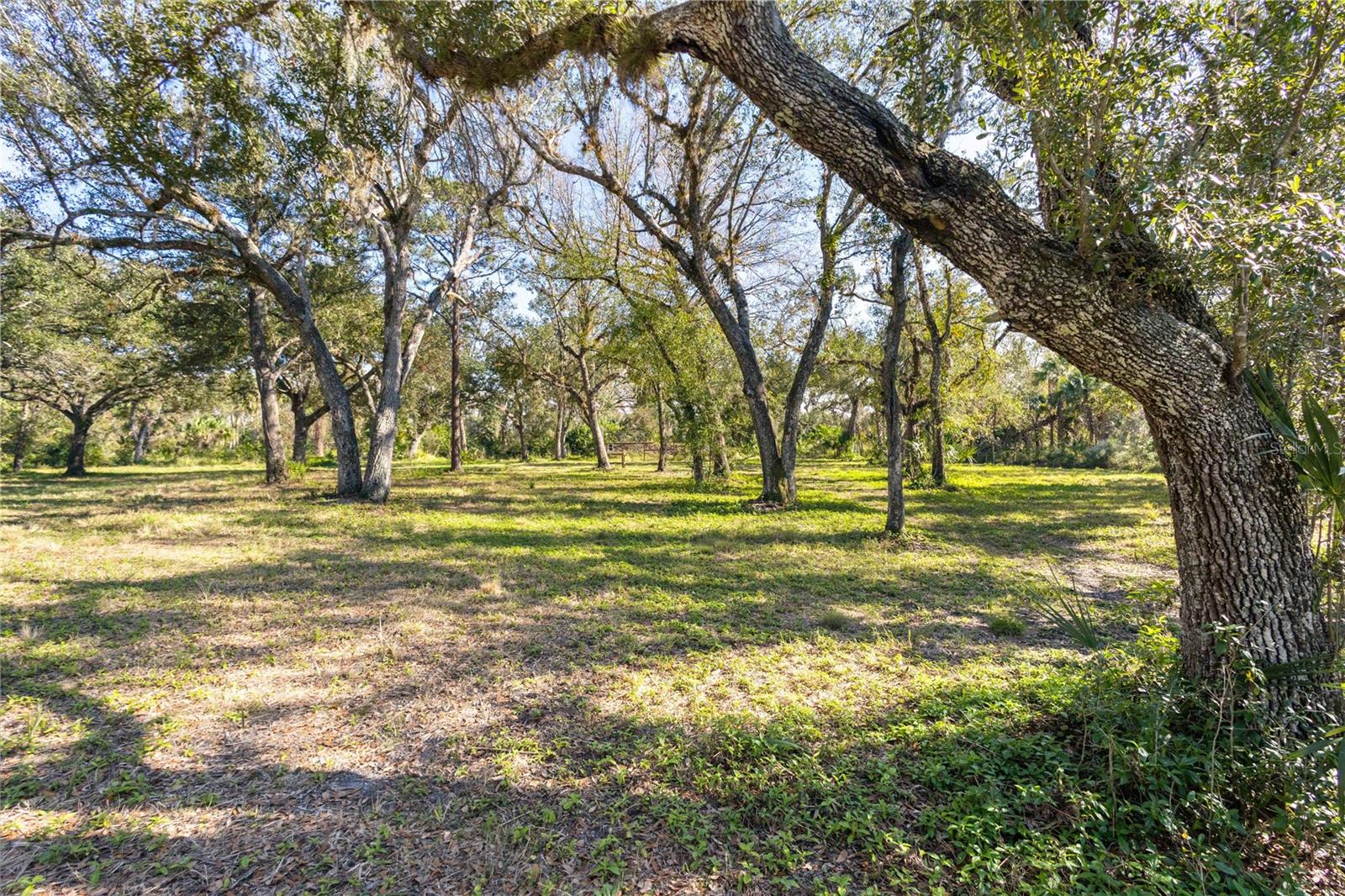 Image 60 of 96 For 10038 County Road 769