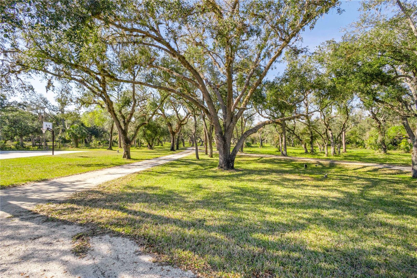 Image 66 of 96 For 10038 County Road 769