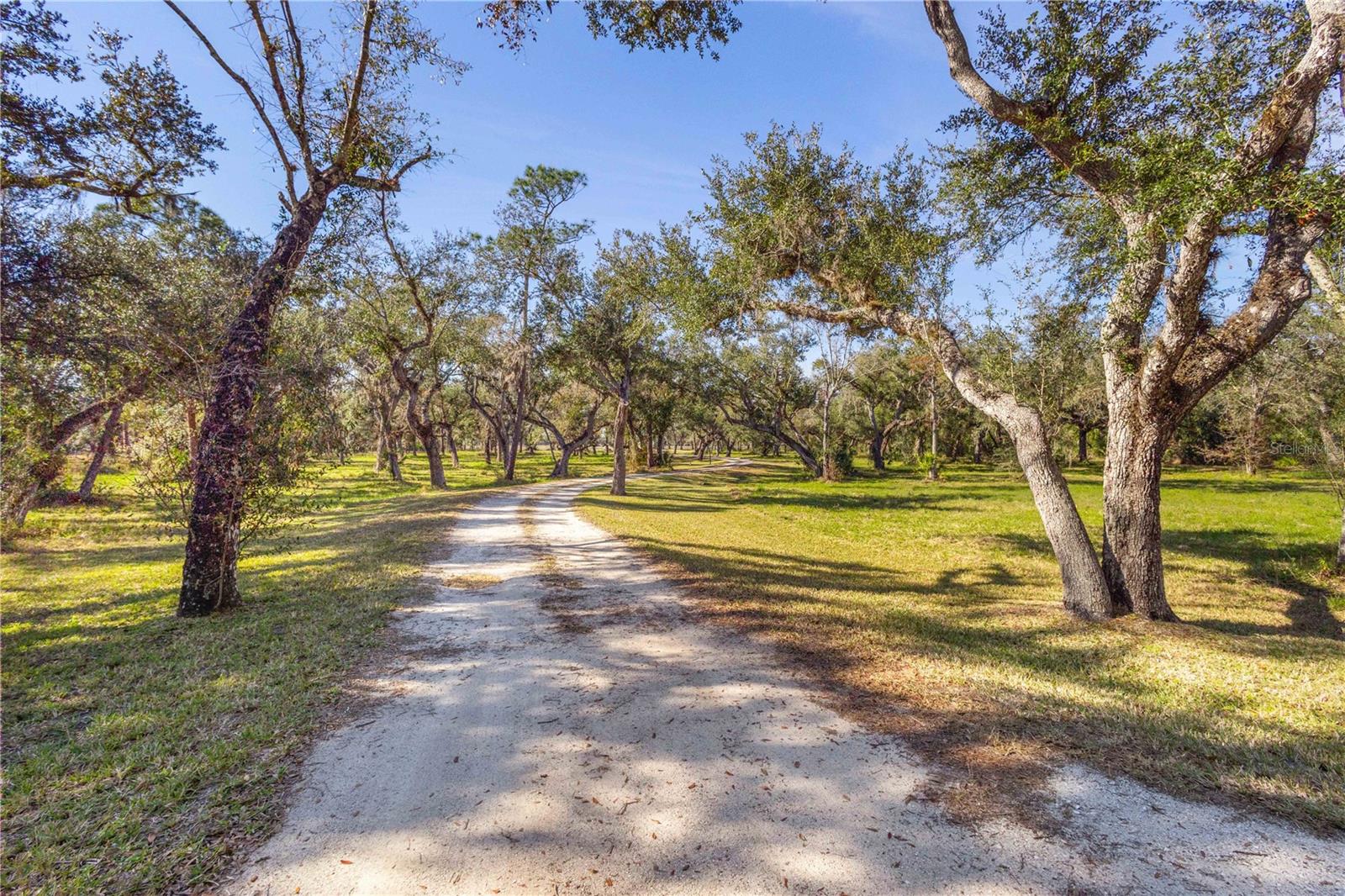 Image 68 of 96 For 10038 County Road 769