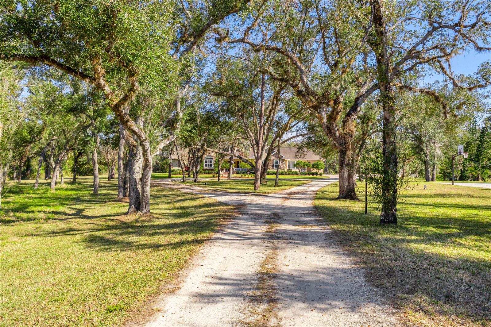 Image 69 of 96 For 10038 County Road 769