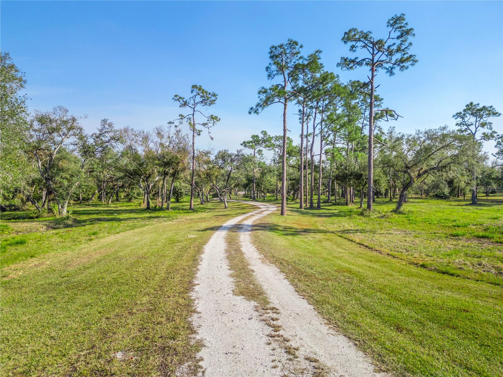 Image 90 of 96 For 10038 County Road 769