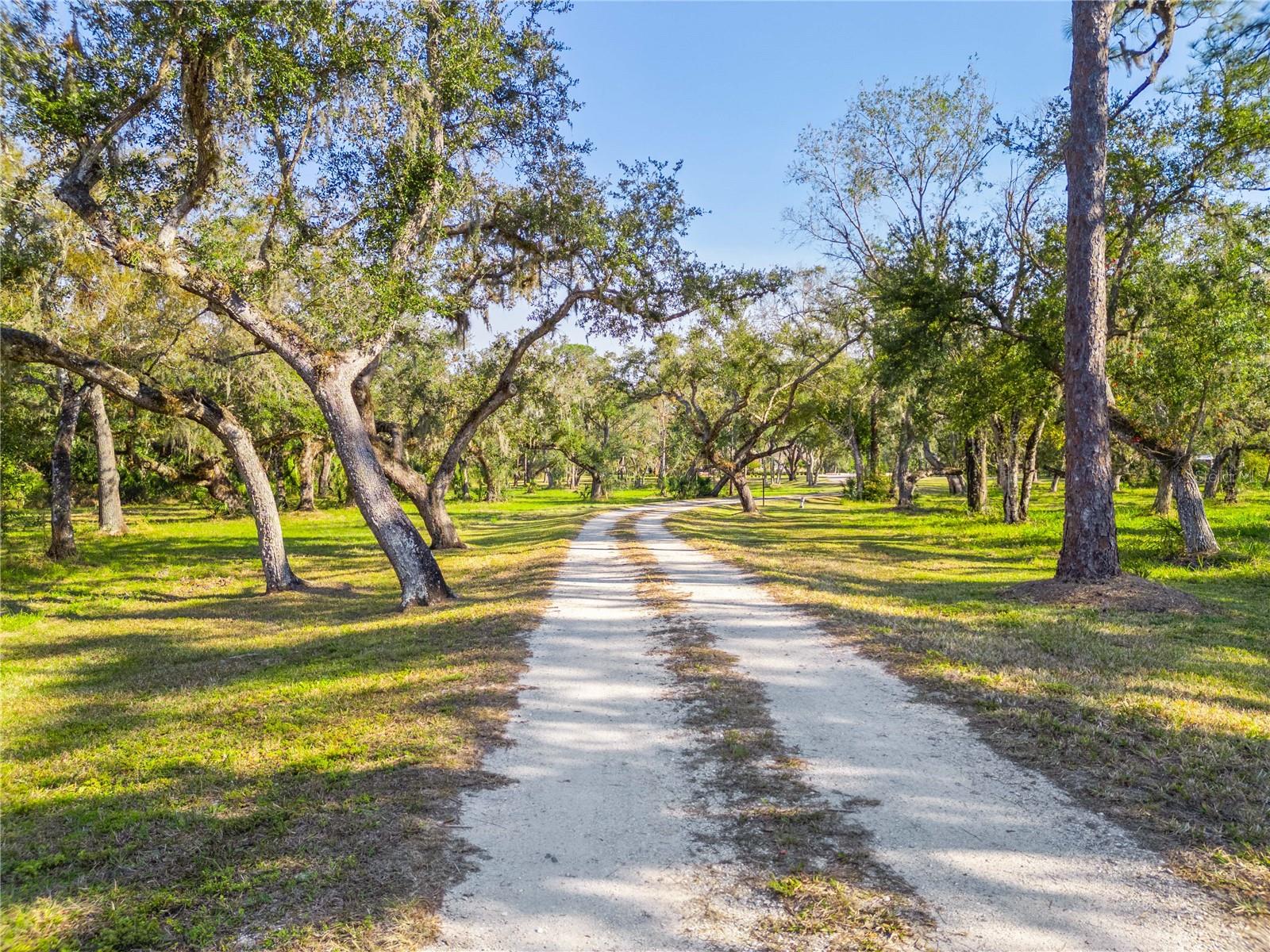 Image 91 of 96 For 10038 County Road 769