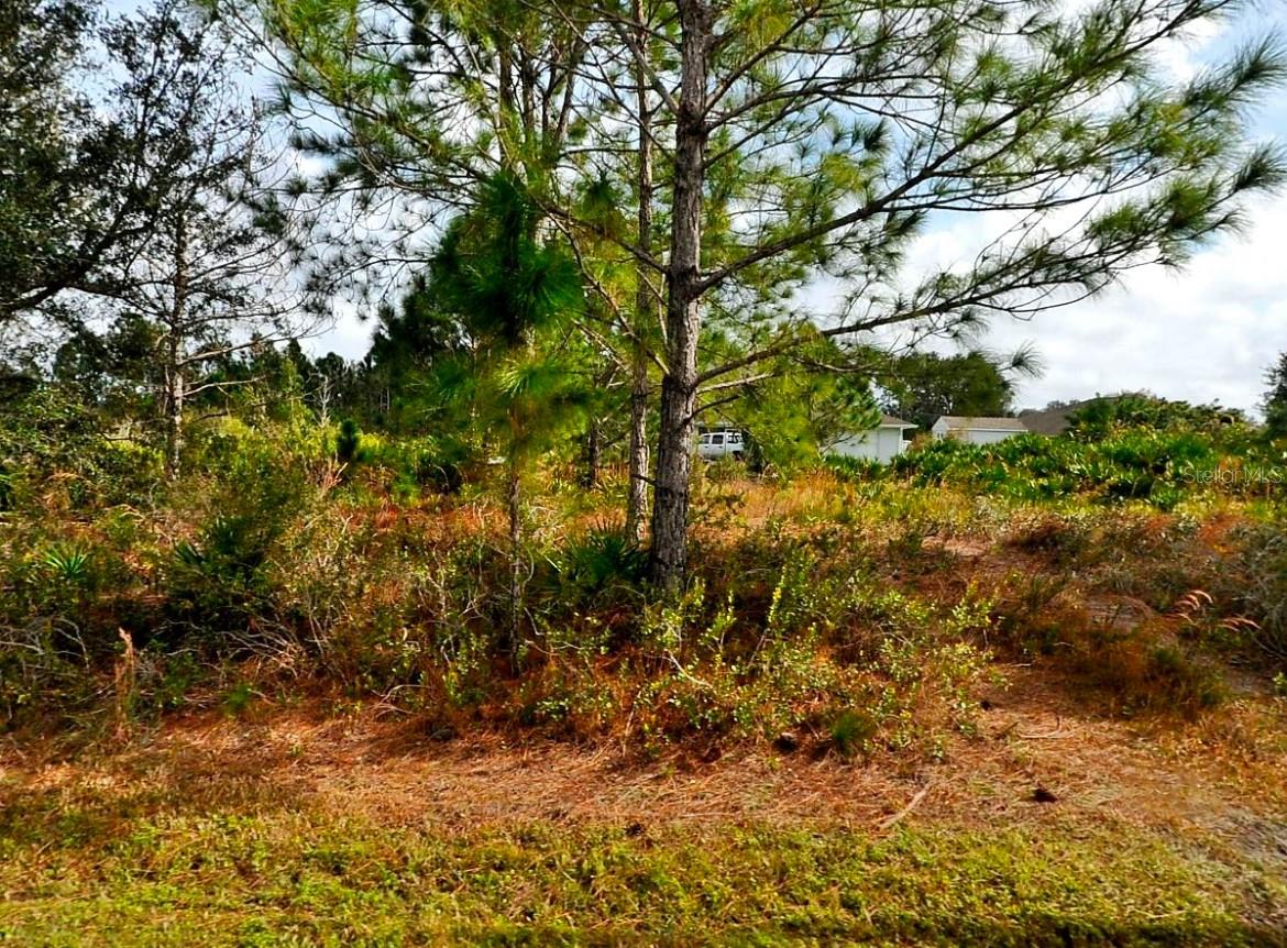 Image 3 of 3 For Cordova Terrace