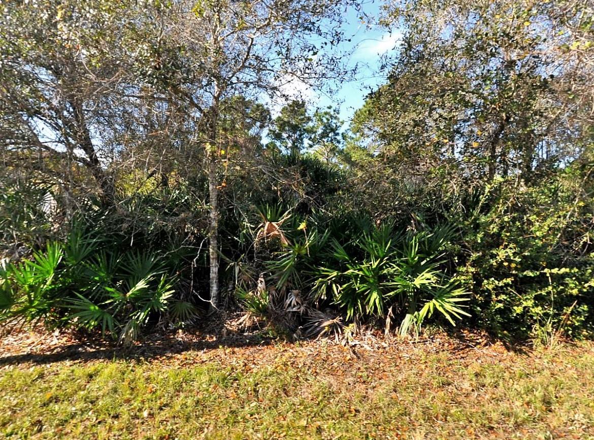 Image 3 of 3 For Log Cabin Road