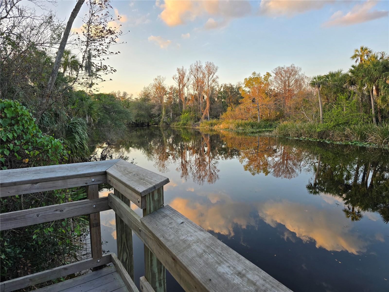 Image 4 of 6 For 35589 Washington Loop Road