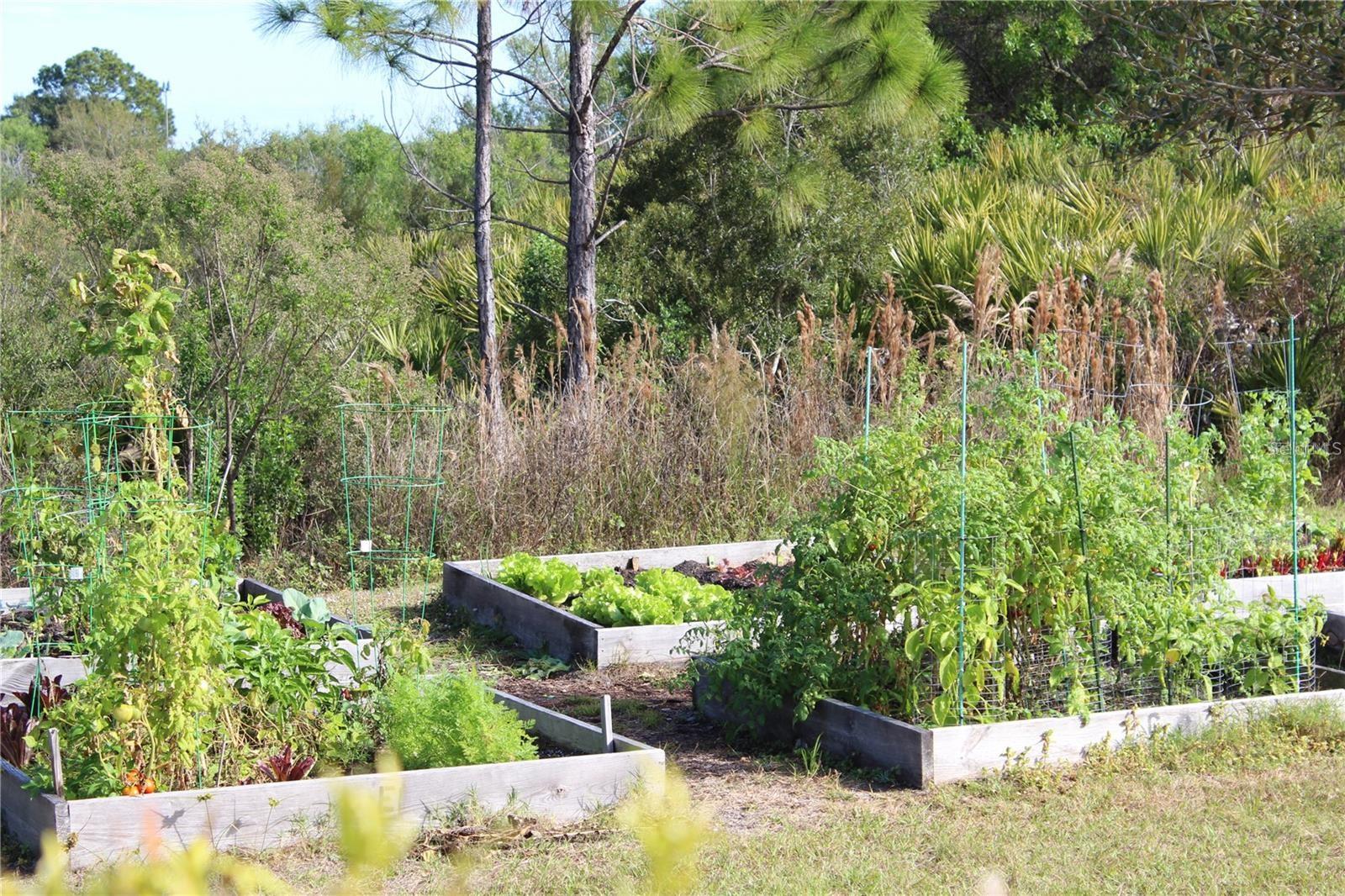 Image 70 of 77 For 2478 Brassica Drive
