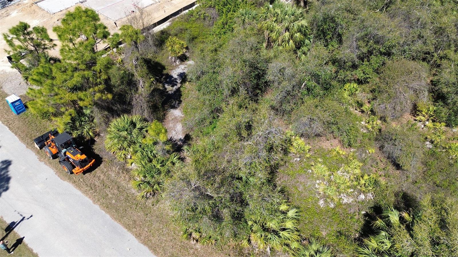 Image 7 of 7 For Fanning Street