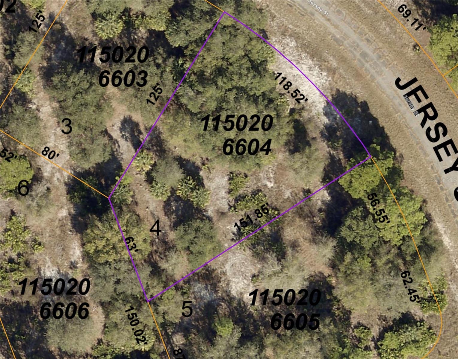 Image 7 of 14 For Jersey Street