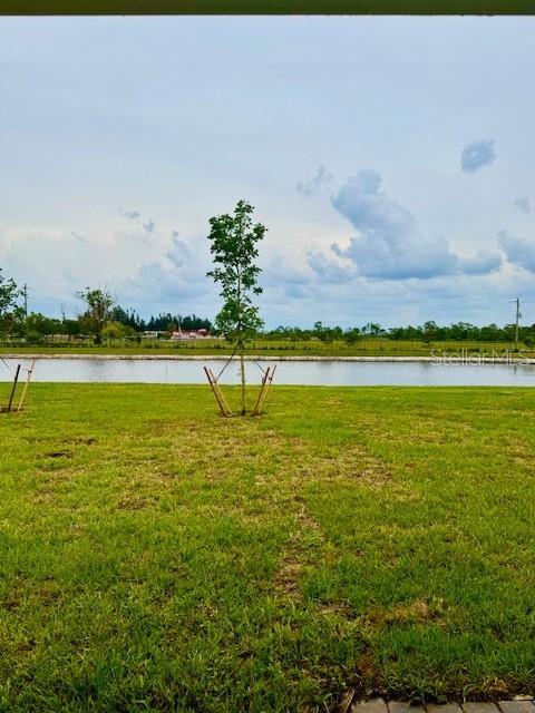 Image 14 of 16 For 9516 Turtle Grass Circle