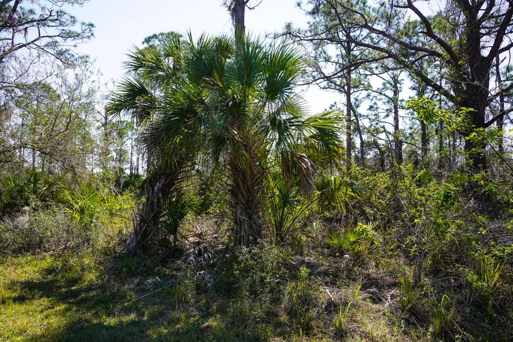 Image 10 of 13 For 15179 Watkins Avenue