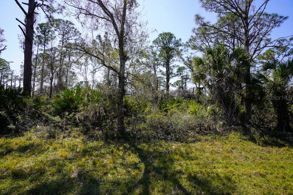 Image 7 of 13 For 15179 Watkins Avenue