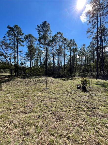 Details for 4415 Olga Street, HASTINGS, FL 32145