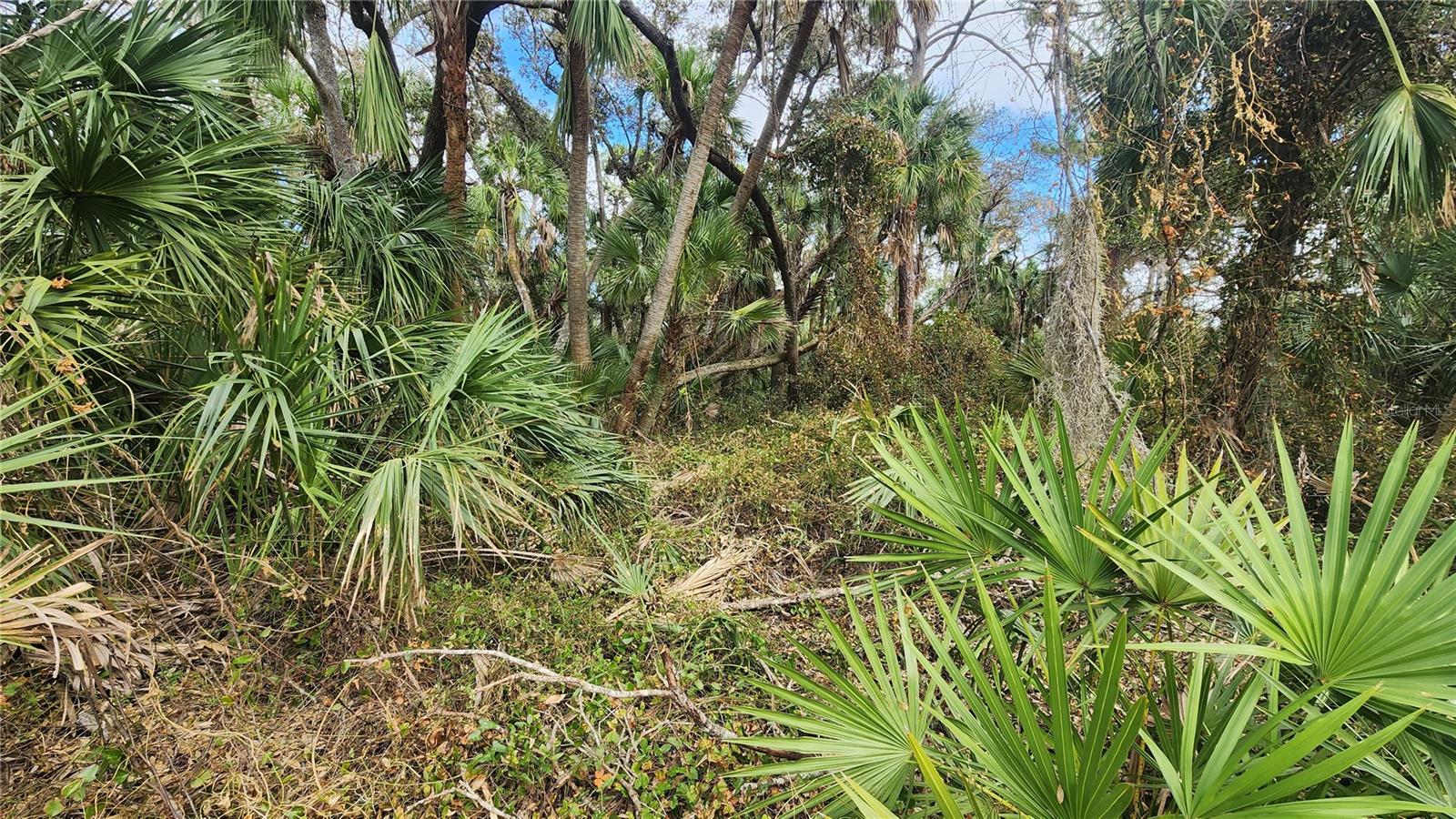 Image 7 of 21 For 2456 Hiawatha Street