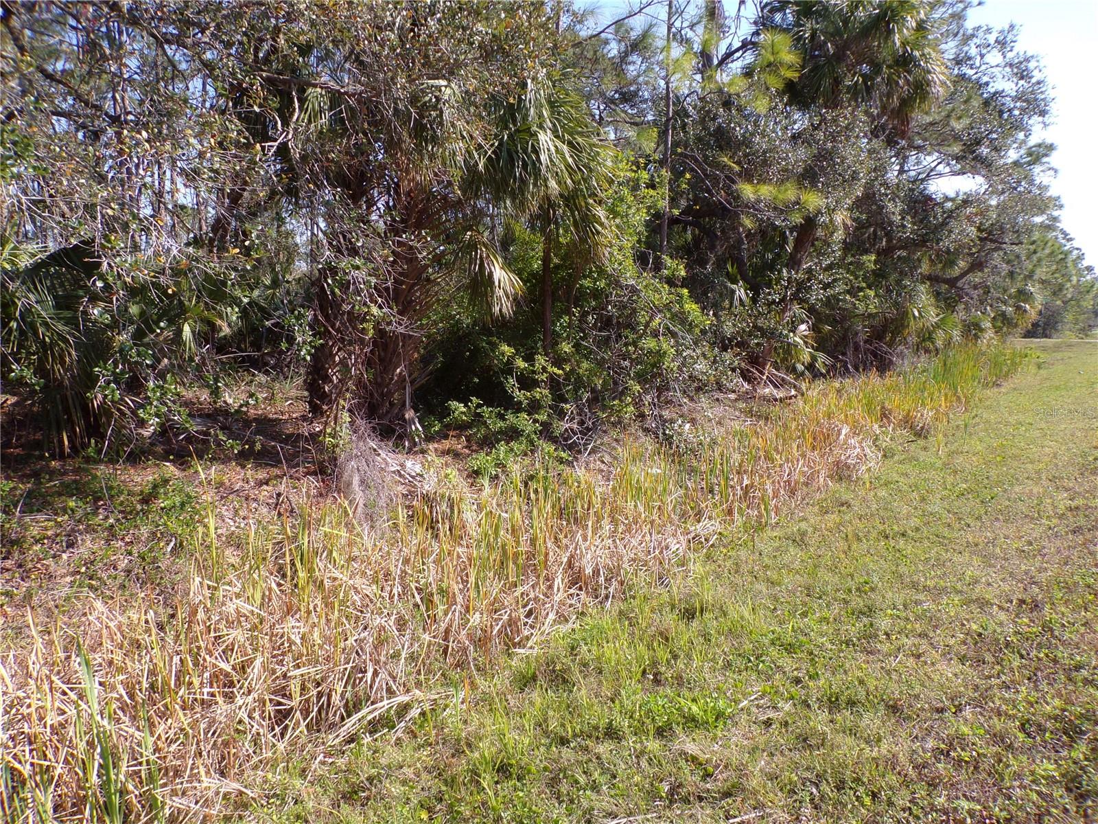 Image 3 of 11 For 1316 Biscayne Drive