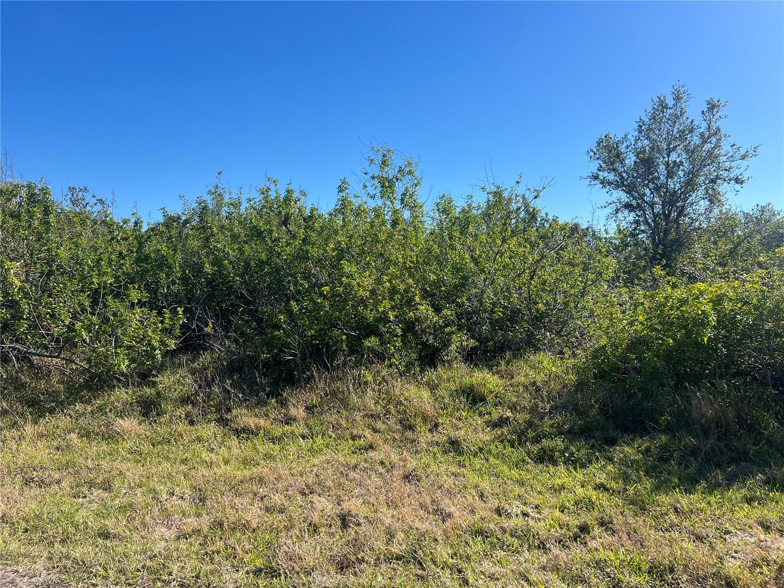 Image 3 of 24 For 14464 Edna Cir