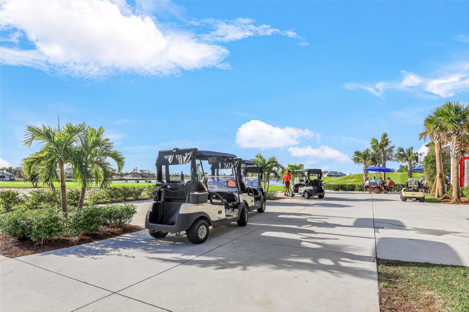 Image 70 of 72 For 25246 Keygrass Court