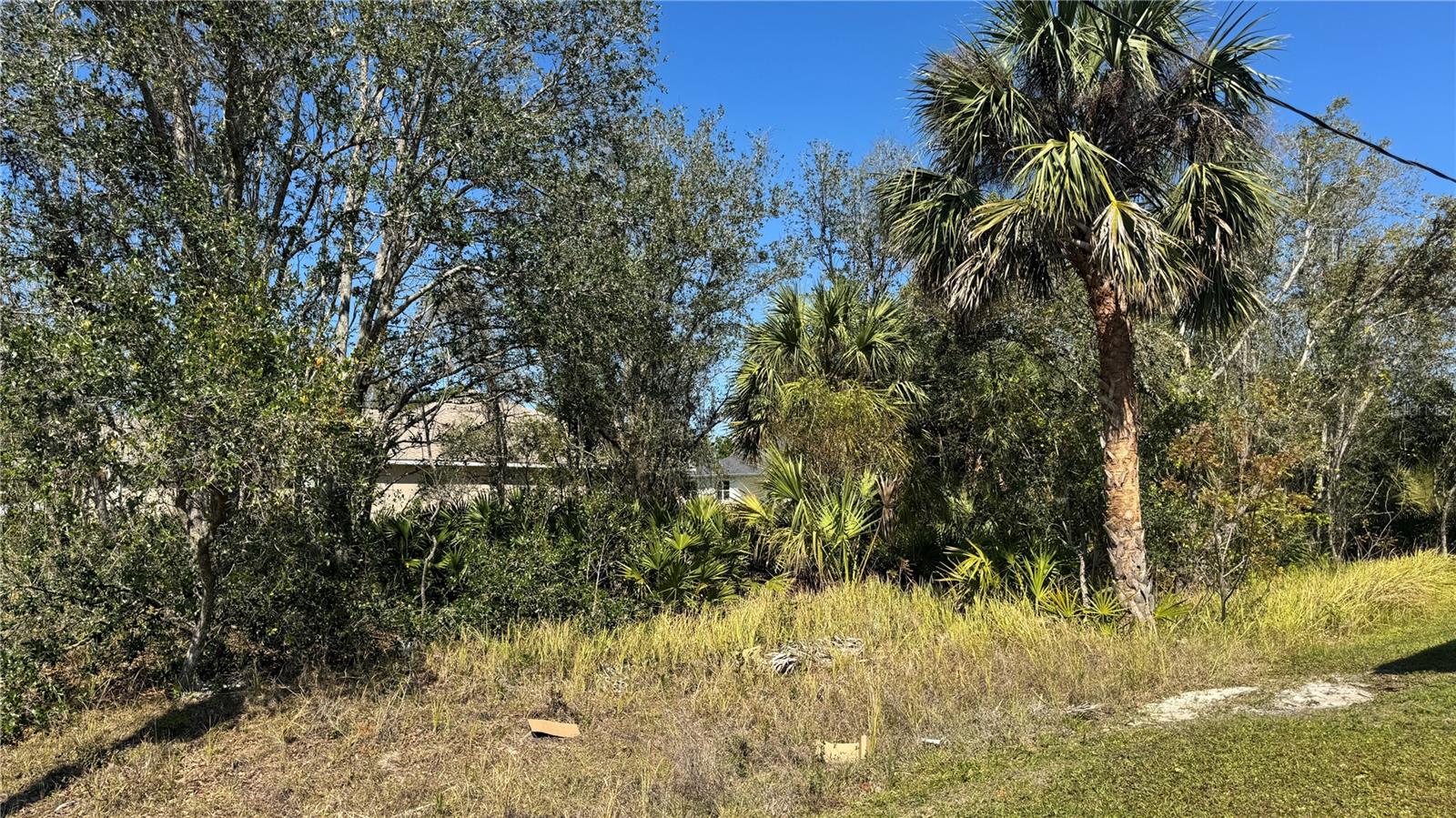Image 2 of 8 For Caputo Avenue