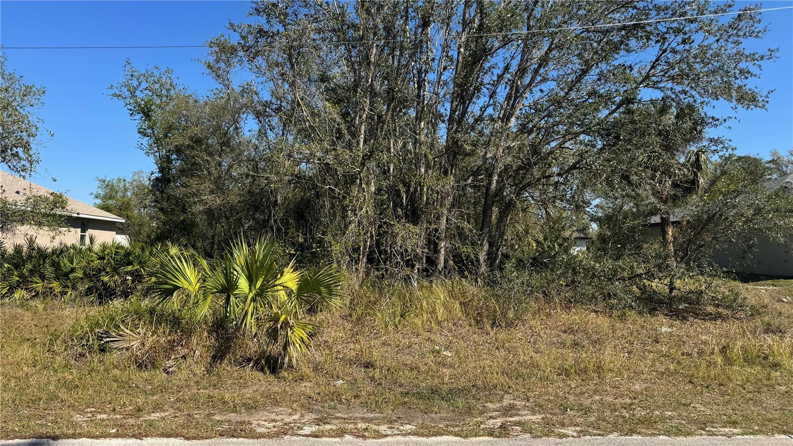 Image 4 of 8 For Caputo Avenue