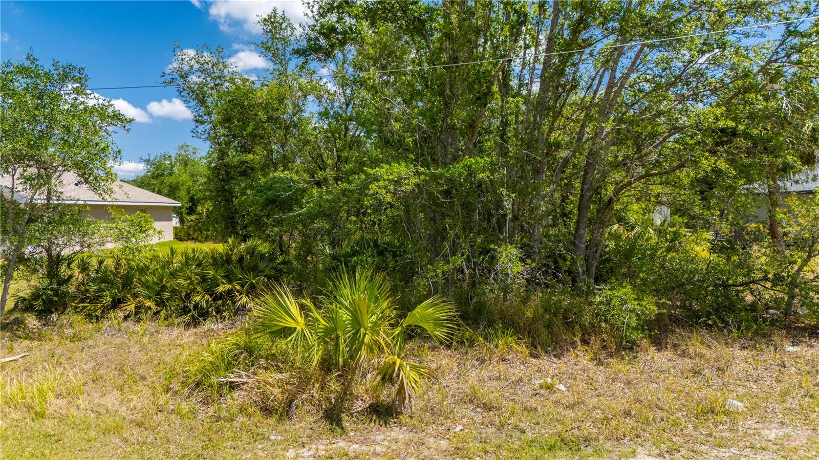 Image 7 of 8 For Caputo Avenue