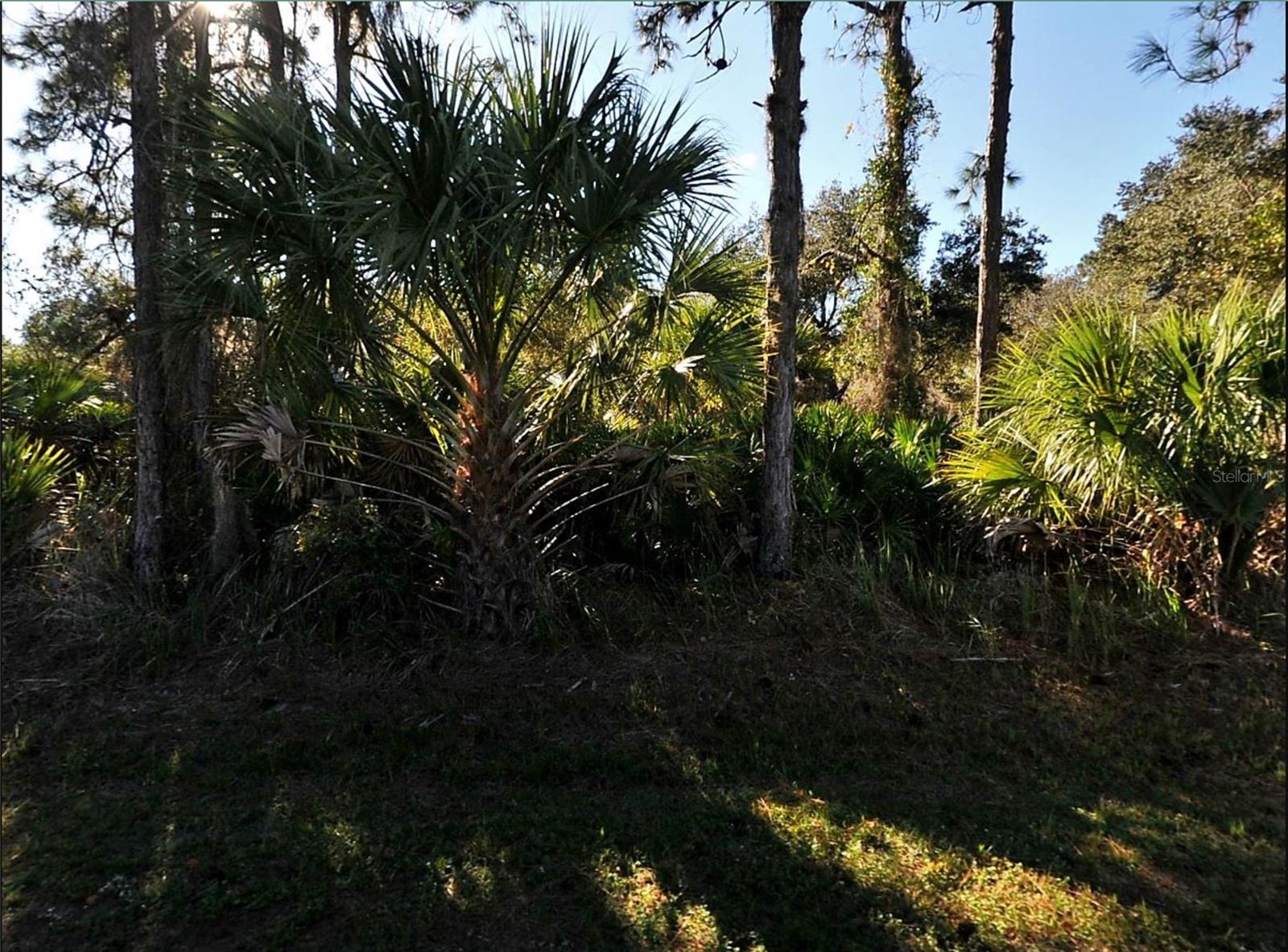 Details for Lot 17 Ruiz Street, NORTH PORT, FL 34286