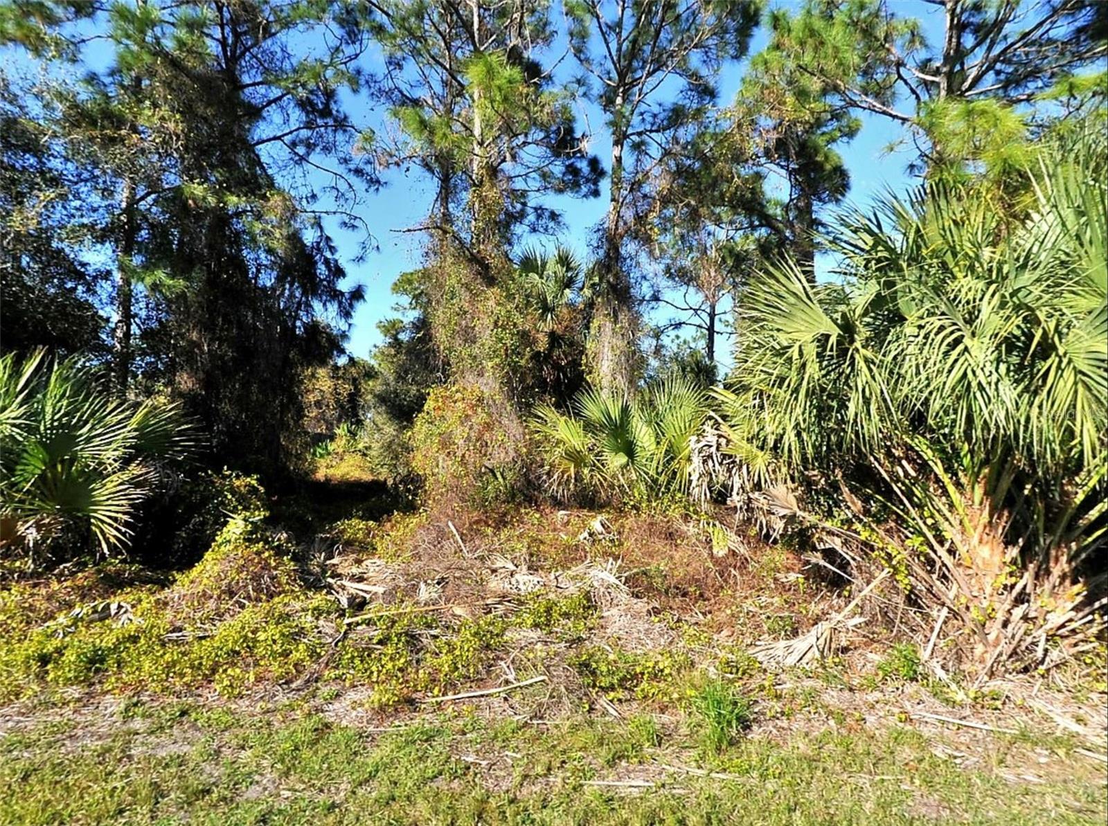 Details for Lot 24 Renfro Avenue, NORTH PORT, FL 34286