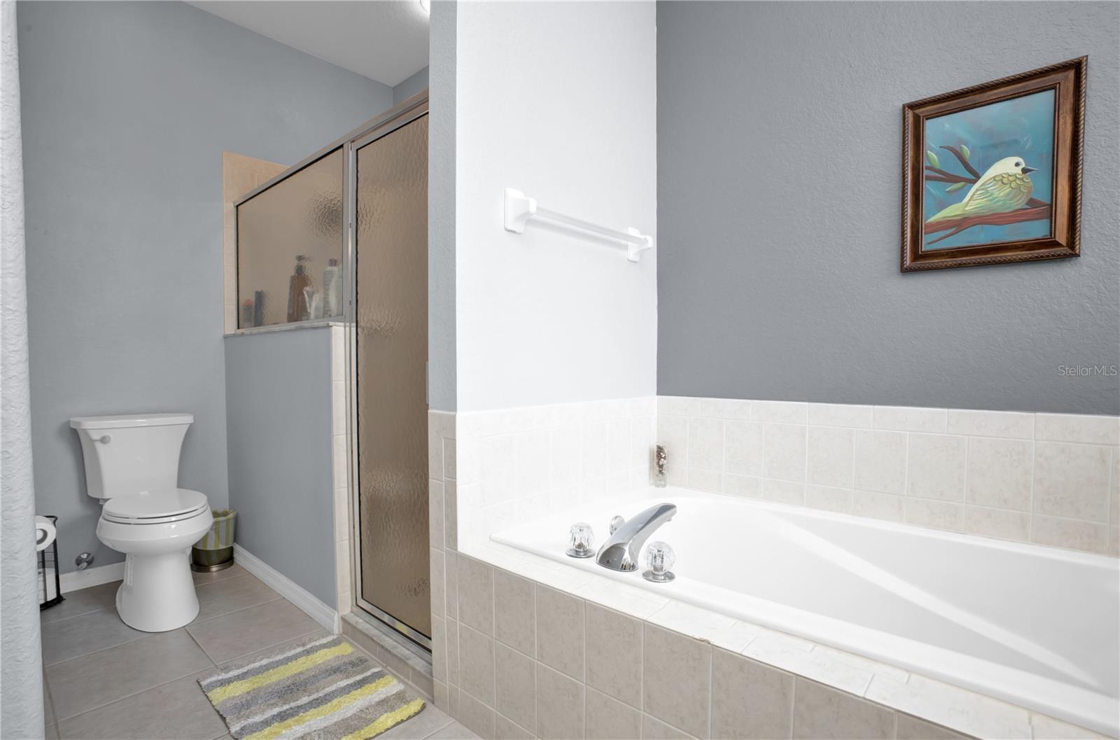 Image 18 of 45 For 1701 Lastingham Lane