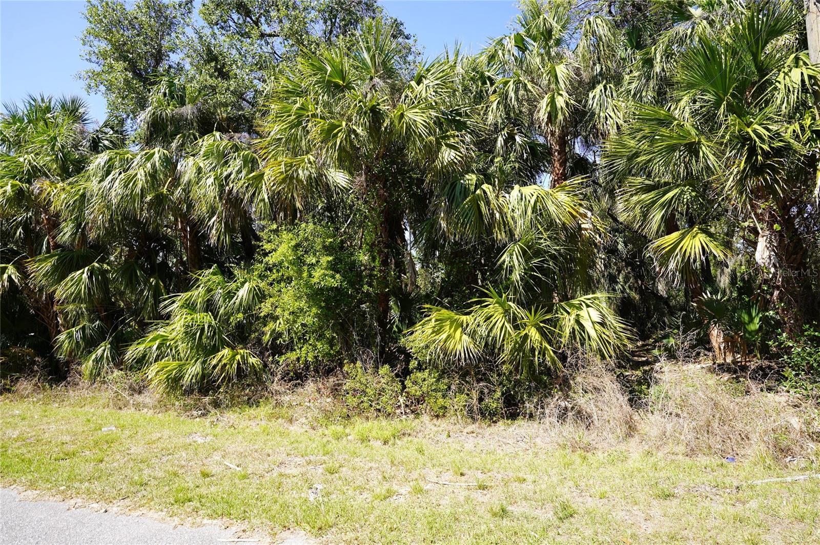 Details for Walmsley Avenue, NORTH PORT, FL 34287