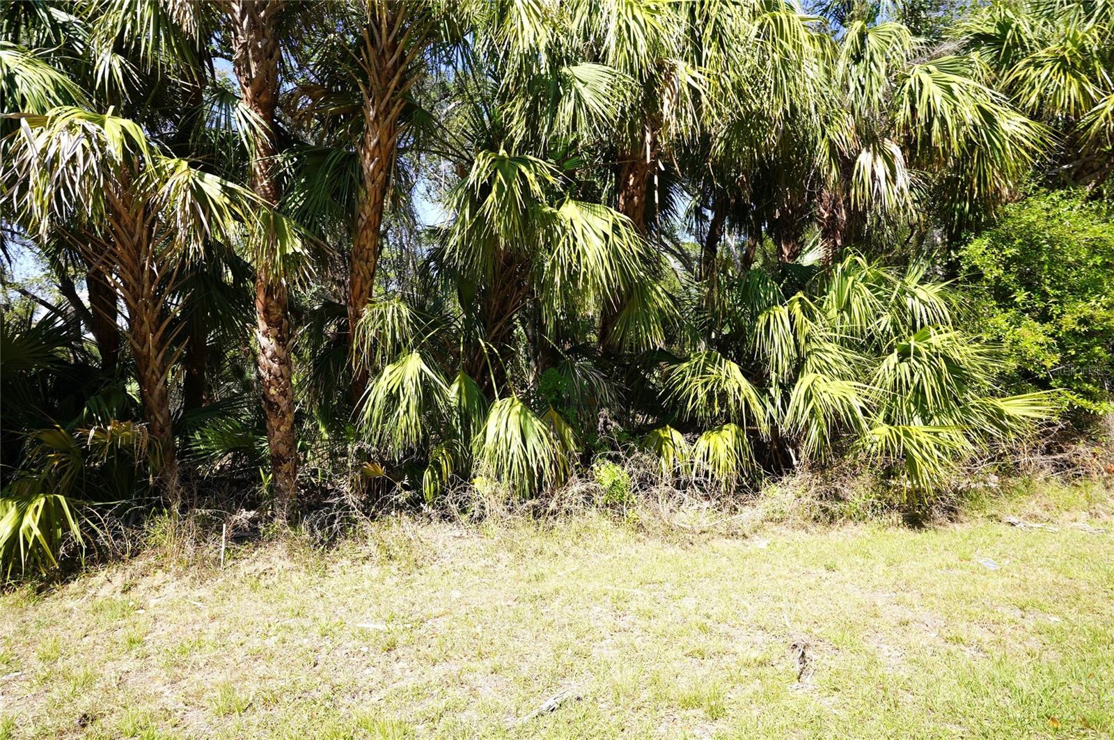 Image 3 of 32 For Walmsley Avenue