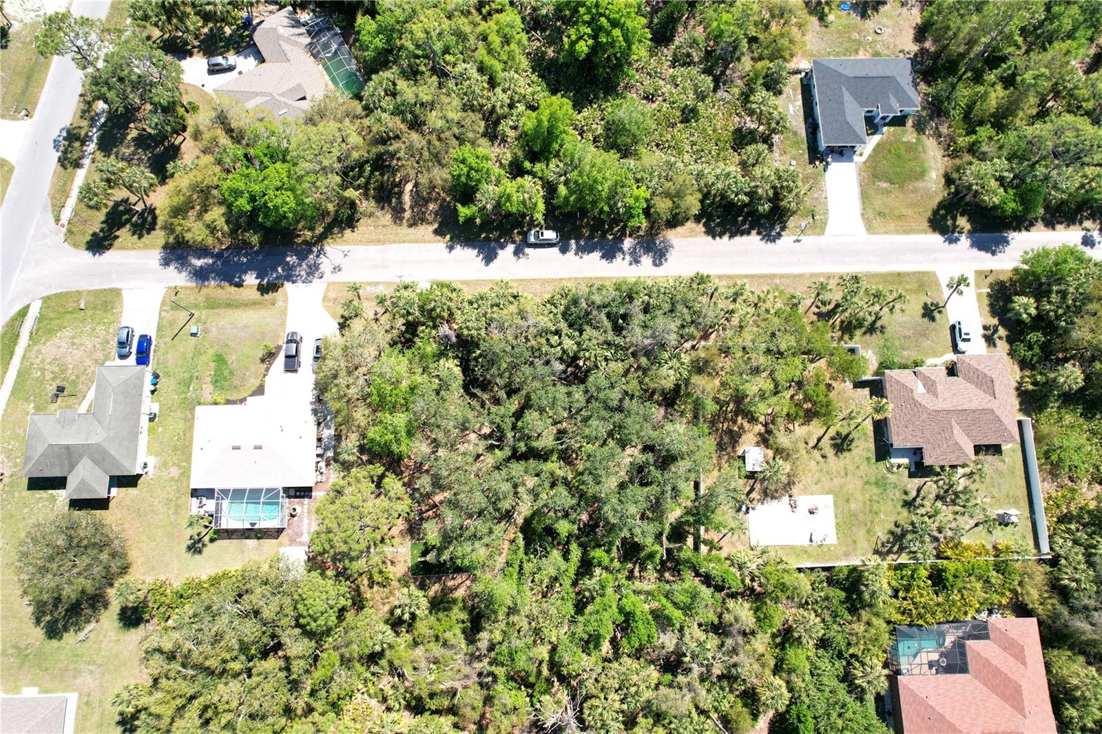 Image 8 of 32 For Walmsley Avenue