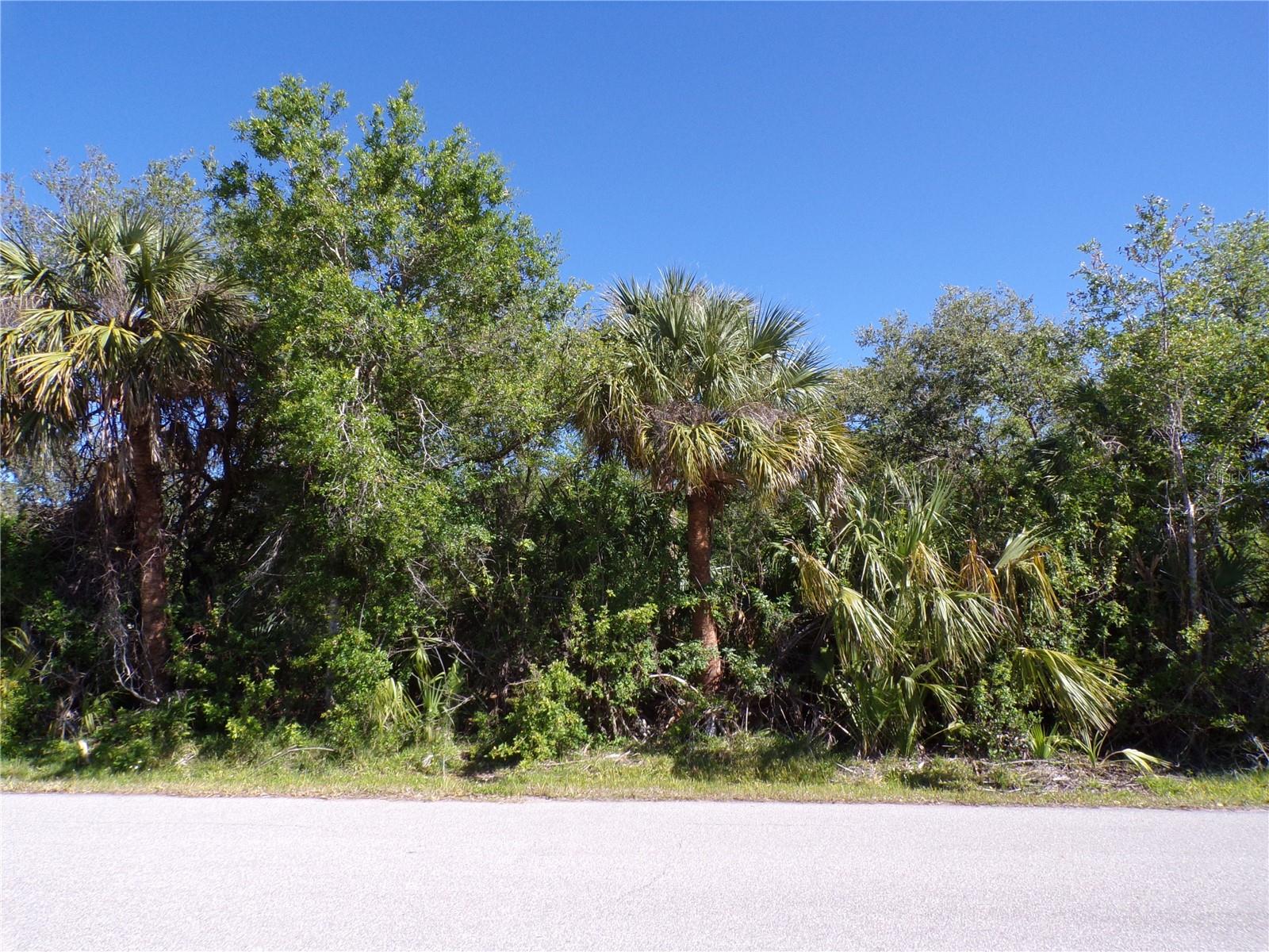 Details for 26046 Scham Road, PUNTA GORDA, FL 33955