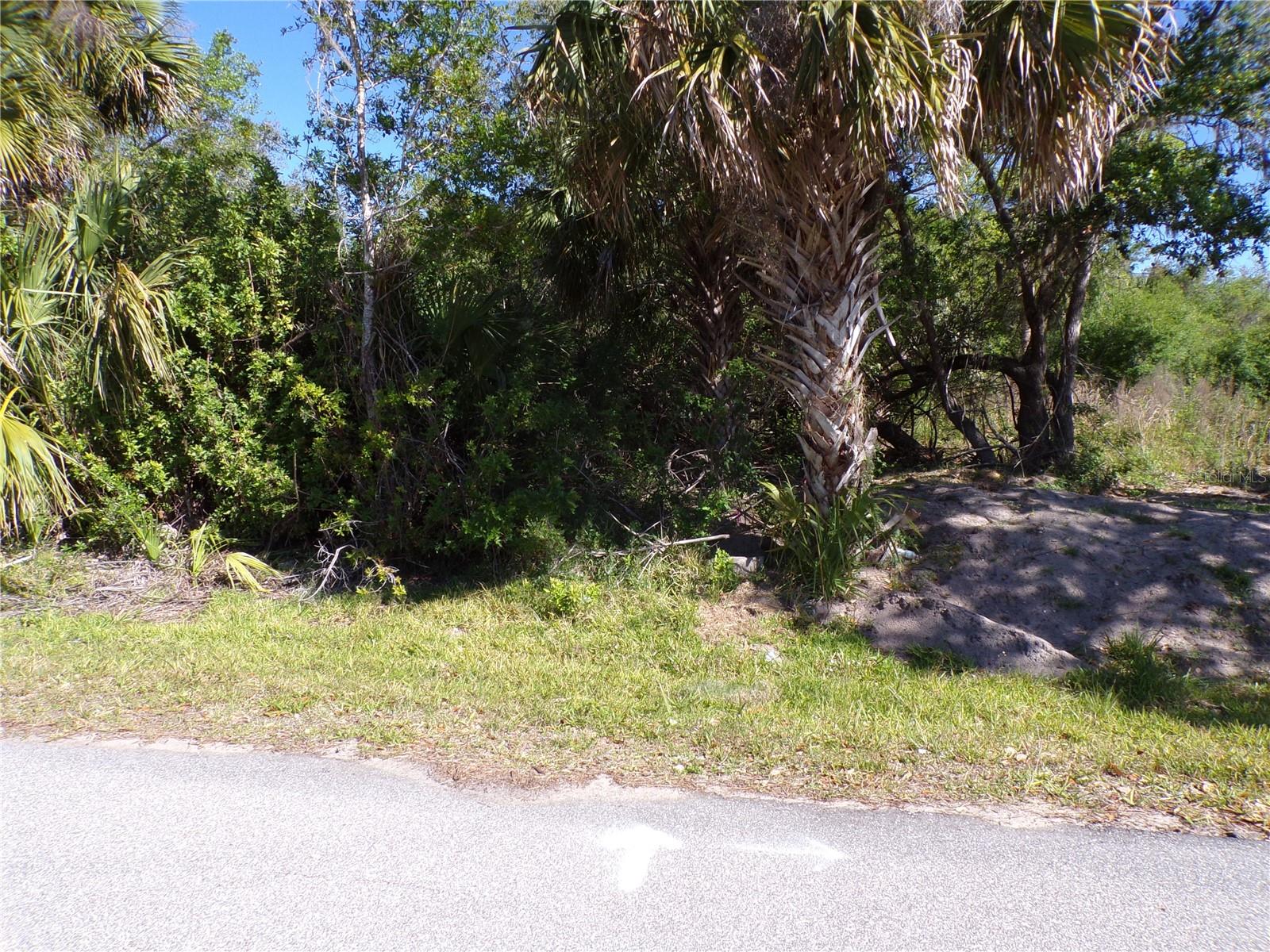 Image 6 of 10 For 26046 Scham Road