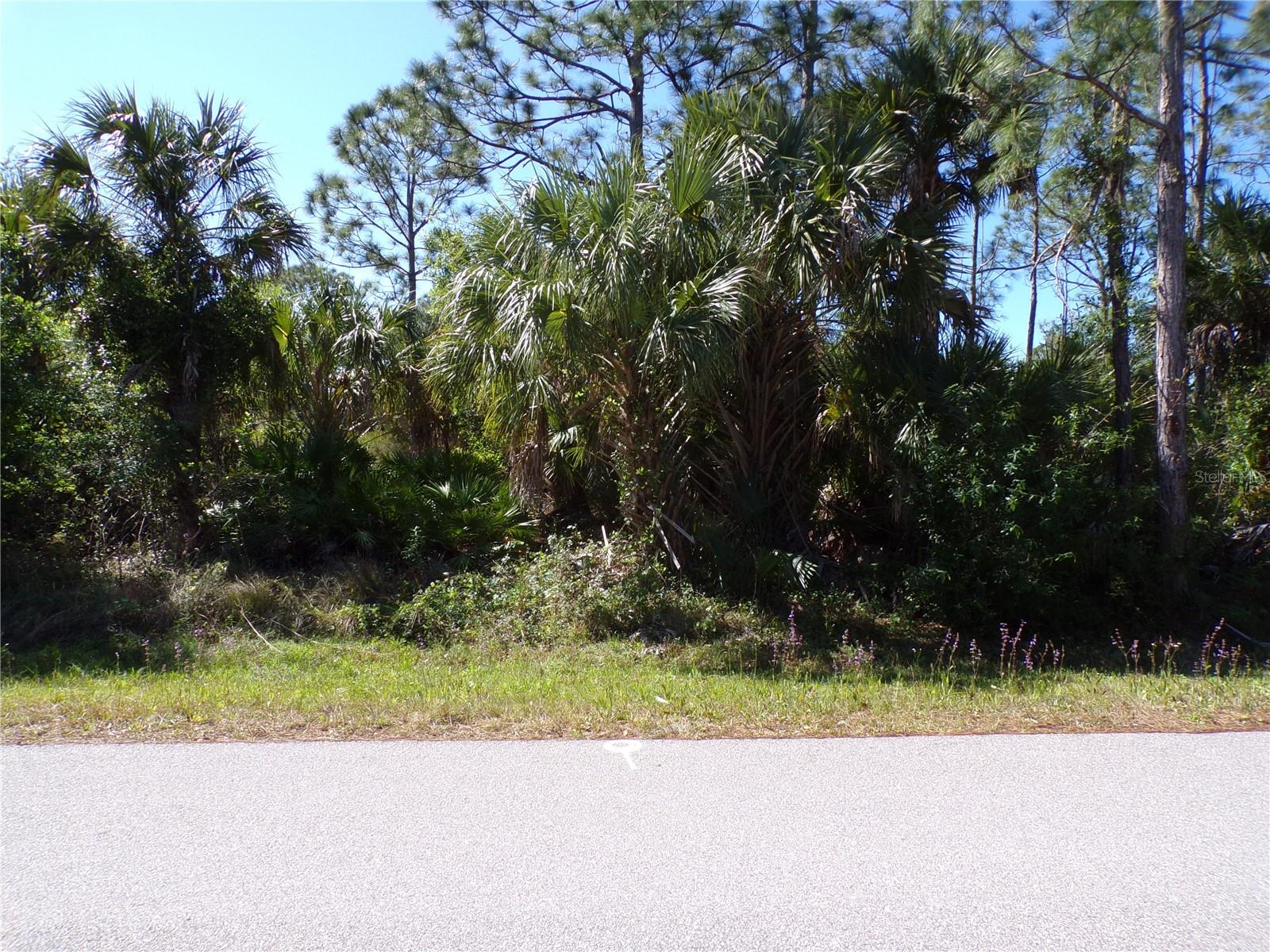 Image 10 of 13 For 26203 Custer Road