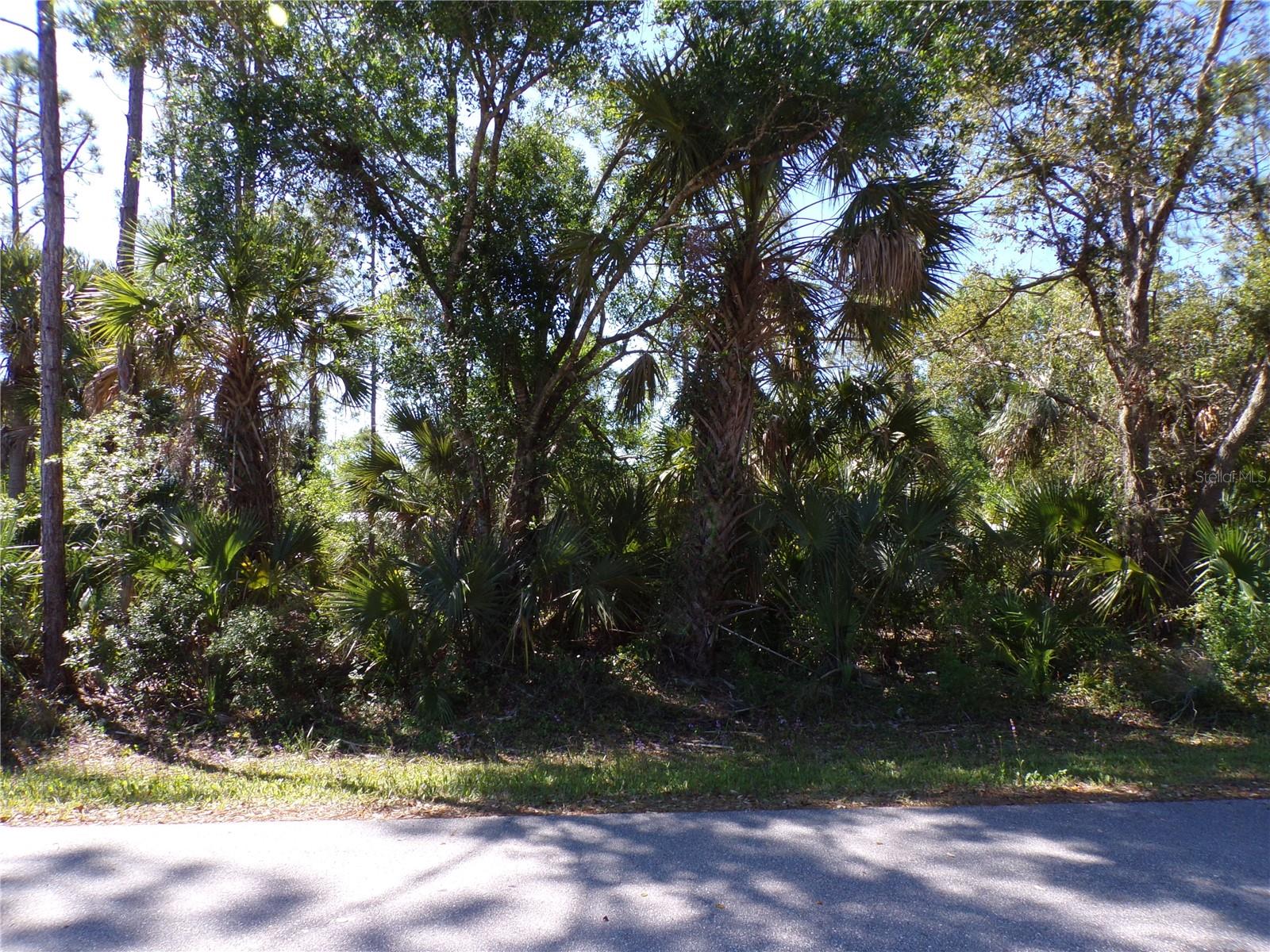 Image 6 of 13 For 26203 Custer Road