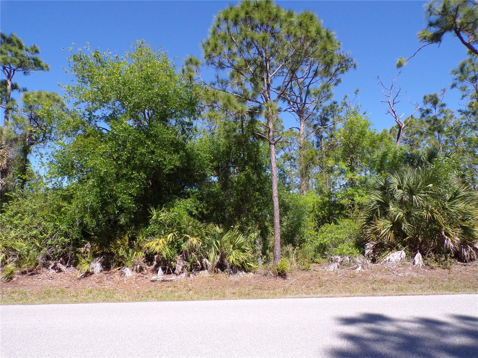 Image 13 of 20 For 11383 10th Avenue