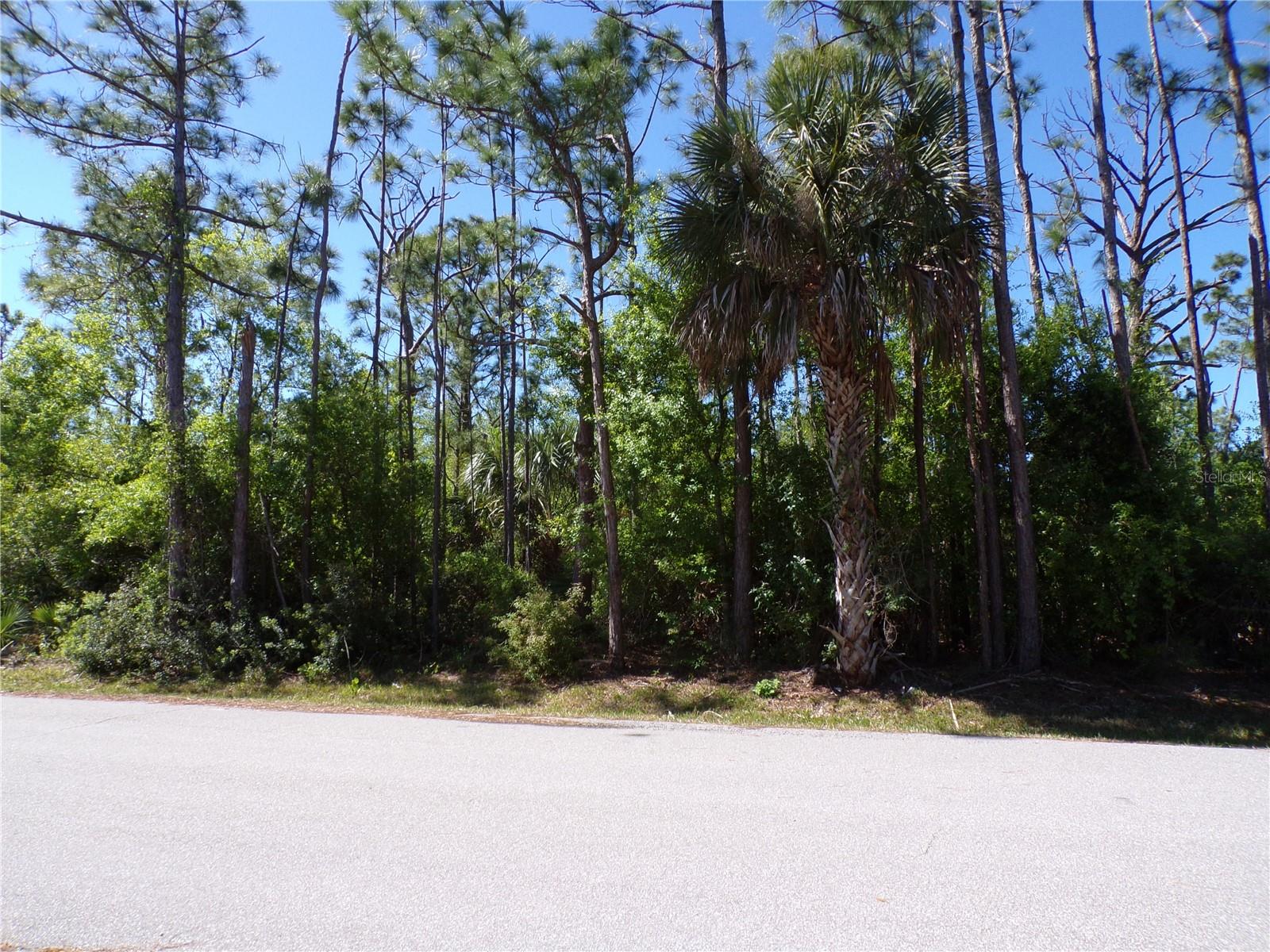 Image 6 of 20 For 11383 10th Avenue