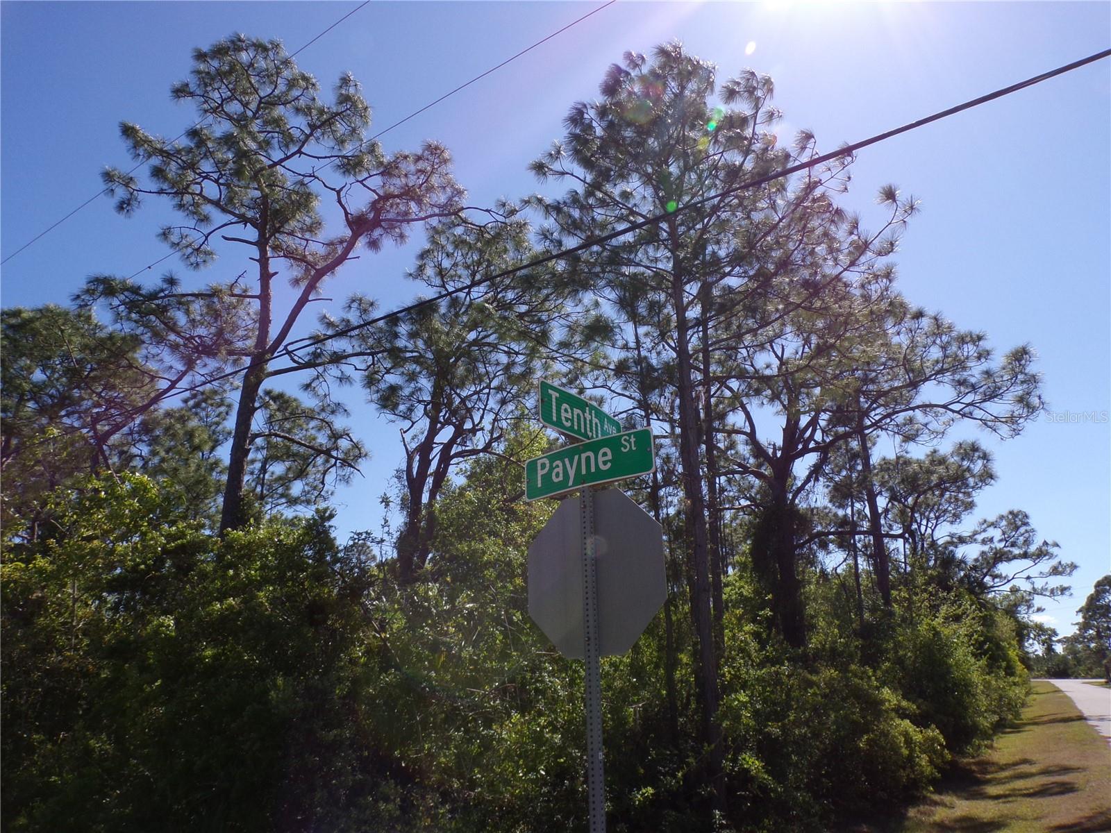 Image 8 of 20 For 11383 10th Avenue