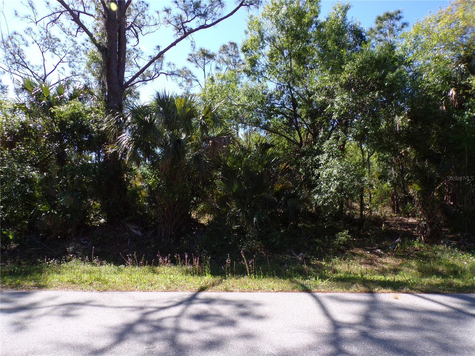 Image 5 of 13 For 12115 Estrella Boulevard