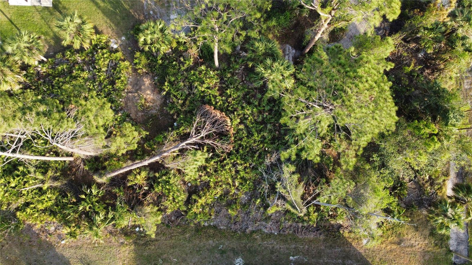 Image 3 of 13 For Sparkle Lane