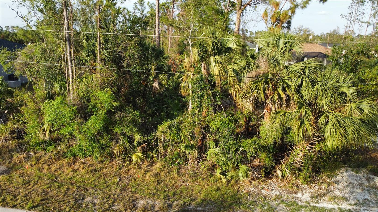 Image 4 of 13 For Sparkle Lane