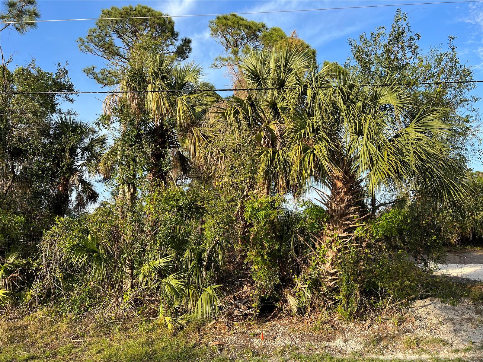 Image 5 of 13 For Sparkle Lane